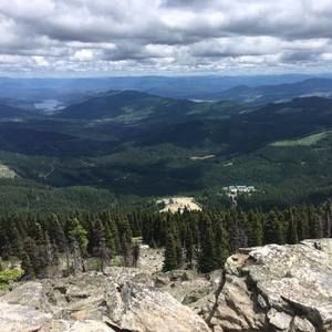 Meet your Posher, Samuel